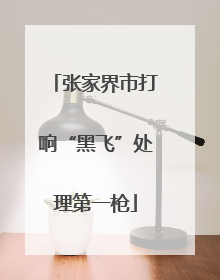 张家界市打响“黑飞”处理第一枪