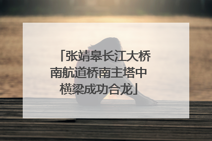 张靖皋长江大桥南航道桥南主塔中横梁成功合龙