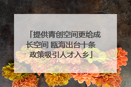 提供青创空间更给成长空间 瓯海出台十条政策吸引人才入乡