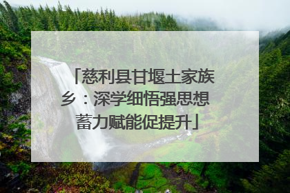 慈利县甘堰土家族乡：深学细悟强思想 蓄力赋能促提升