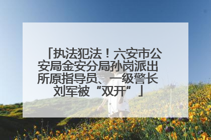 执法犯法！六安市公安局金安分局孙岗派出所原指导员、一级警长刘军被“双开”