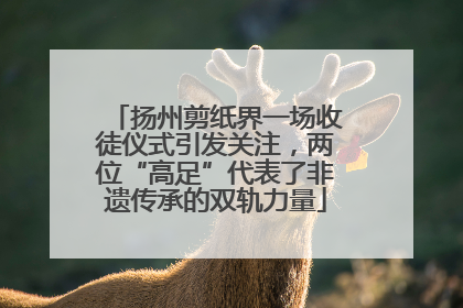 扬州剪纸界一场收徒仪式引发关注，两位“高足”代表了非遗传承的双轨力量