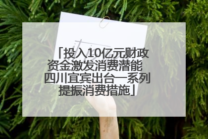 投入10亿元财政资金激发消费潜能 四川宜宾出台一系列提振消费措施