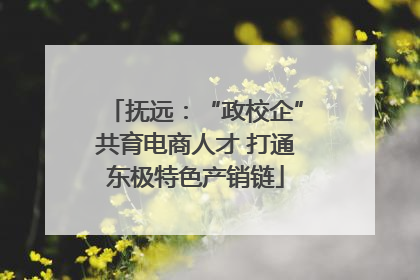 抚远：“政校企”共育电商人才 打通东极特色产销链
