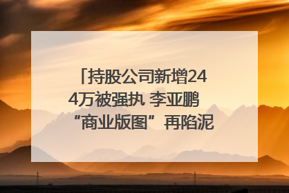 持股公司新增244万被强执 李亚鹏“商业版图”再陷泥潭？｜科技观察