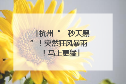 杭州“一秒天黑”！突然狂风暴雨！马上更猛