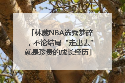 林葳NBA选秀梦碎，不论结局“走出去”就是珍贵的成长经历