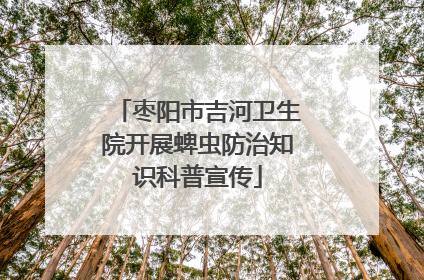 枣阳市吉河卫生院开展蜱虫防治知识科普宣传
