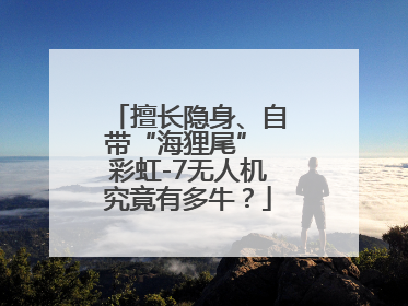 擅长隐身、自带“海狸尾” 彩虹-7无人机究竟有多牛？
