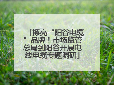 擦亮“阳谷电缆”品牌！市场监管总局到阳谷开展电线电缆专题调研