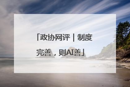 政协网评｜制度完善，则AI善