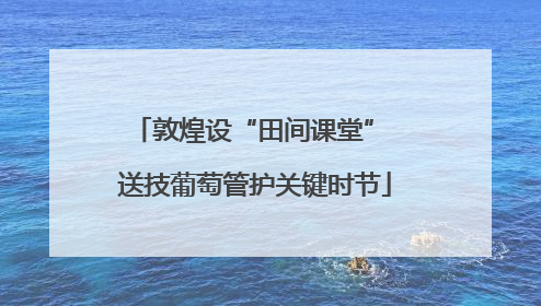 敦煌设“田间课堂” 送技葡萄管护关键时节
