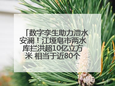 数字孪生助力澧水安澜！江垭皂市两水库拦洪超10亿立方米 相当于近80个西湖水量