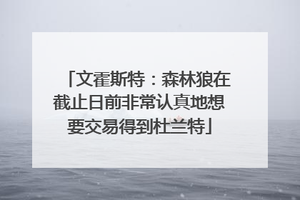 文霍斯特：森林狼在截止日前非常认真地想要交易得到杜兰特