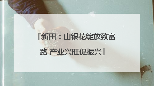 新田：山银花绽放致富路 产业兴旺促振兴