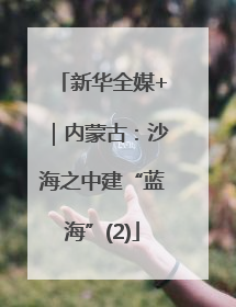新华全媒+｜内蒙古：沙海之中建“蓝海”(2)