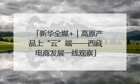 新华全媒+｜高原产品上“云”端——西藏电商发展一线观察