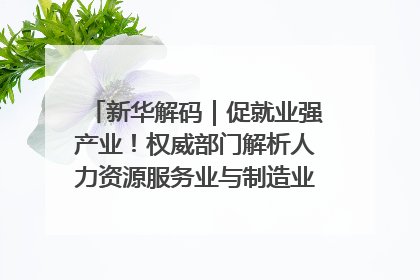 新华解码｜促就业强产业！权威部门解析人力资源服务业与制造业融合发展试点