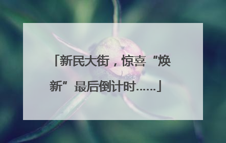 新民大街，惊喜“焕新”最后倒计时……