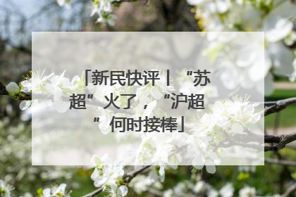 新民快评丨“苏超”火了，“沪超”何时接棒