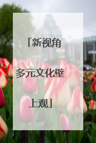 新视角 多元文化壁上观