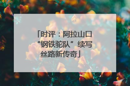 时评：阿拉山口“钢铁驼队”续写丝路新传奇