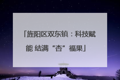 旌阳区双东镇：科技赋能 结满“杏”福果
