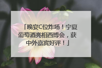 晚宴C位炸场！宁夏葡萄酒亮相西博会，获中外嘉宾好评！
