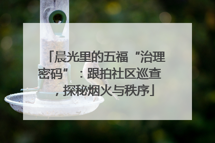 晨光里的五福“治理密码”：跟拍社区巡查，探秘烟火与秩序