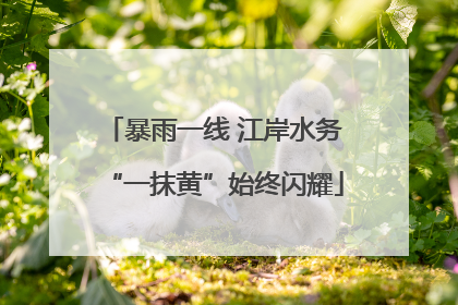 暴雨一线 江岸水务“一抹黄”始终闪耀