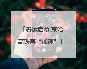 暑运启幕 京哈高铁再“加速”