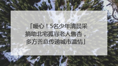 暖心！5名少年清晨采摘助北宅孤寡老人售杏，多方善意传递城市温情