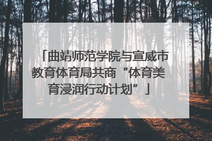 曲靖师范学院与宣威市教育体育局共商“体育美育浸润行动计划”