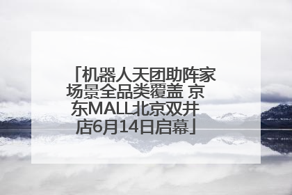 机器人天团助阵家场景全品类覆盖 京东MALL北京双井店6月14日启幕