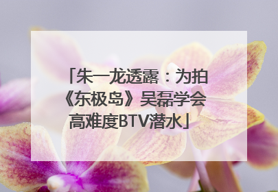 朱一龙透露：为拍《东极岛》吴磊学会高难度BTV潜水