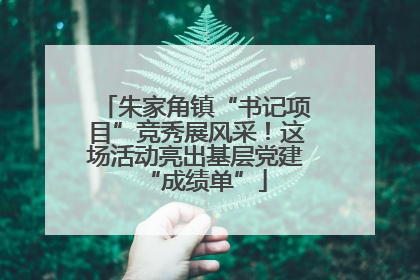 朱家角镇“书记项目”竞秀展风采！这场活动亮出基层党建“成绩单”