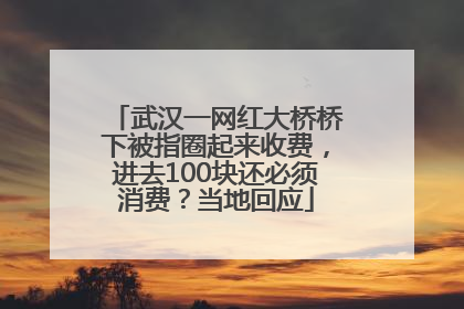 武汉一网红大桥桥下被指圈起来收费，进去100块还必须消费？当地回应