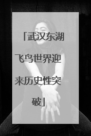 武汉东湖飞鸟世界迎来历史性突破