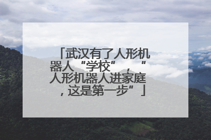 武汉有了人形机器人“学校”，“人形机器人进家庭，这是第一步”