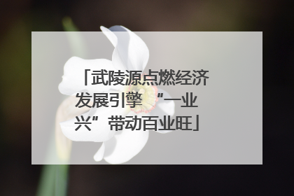 武陵源点燃经济发展引擎 “一业兴”带动百业旺