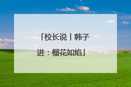 校长说丨韩子进：榴花如焰