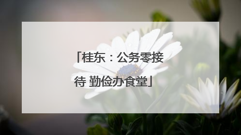 桂东：公务零接待 勤俭办食堂