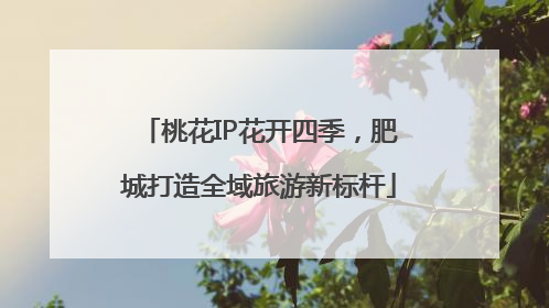 桃花IP花开四季，肥城打造全域旅游新标杆
