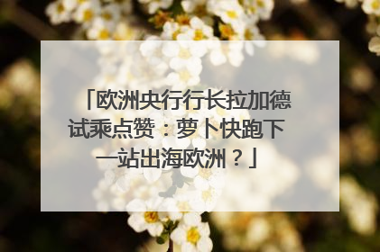 欧洲央行行长拉加德试乘点赞：萝卜快跑下一站出海欧洲？