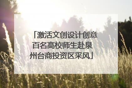 激活文创设计创意 百名高校师生赴泉州台商投资区采风