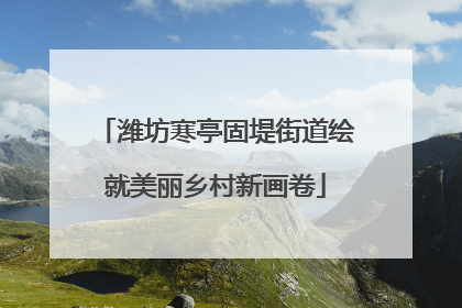 潍坊寒亭固堤街道绘就美丽乡村新画卷