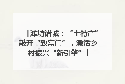潍坊诸城：“土特产”敲开“致富门”，激活乡村振兴“新引擎”
