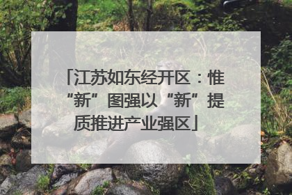 江苏如东经开区：惟“新”图强以“新”提质推进产业强区