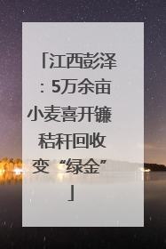 江西彭泽：5万余亩小麦喜开镰 秸秆回收变“绿金”