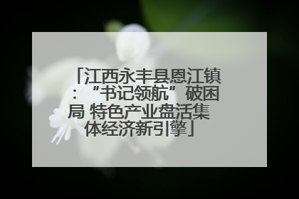 江西永丰县恩江镇：“书记领航”破困局 特色产业盘活集体经济新引擎